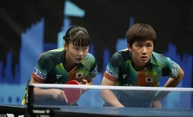 阿森纳的草 阿森纳的草